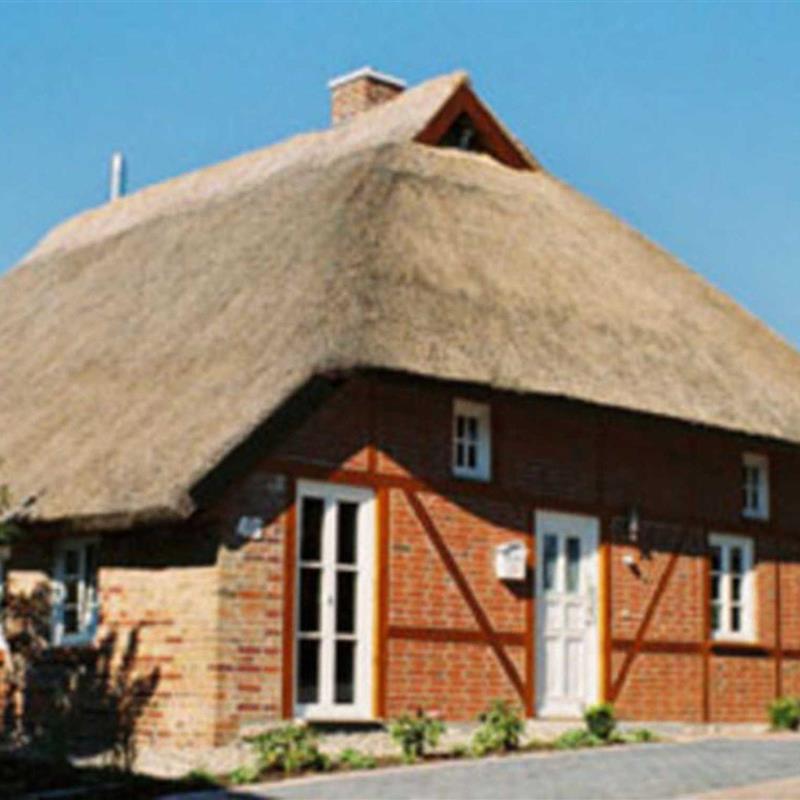 Ferielejlighed - 4 personer -  - Boddenstraße - 18586 - Groß Zicker