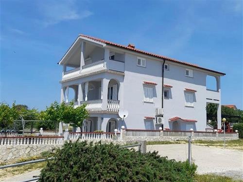 Holiday apartment - 3 persons -  - Lopar - 51281 - Lopar