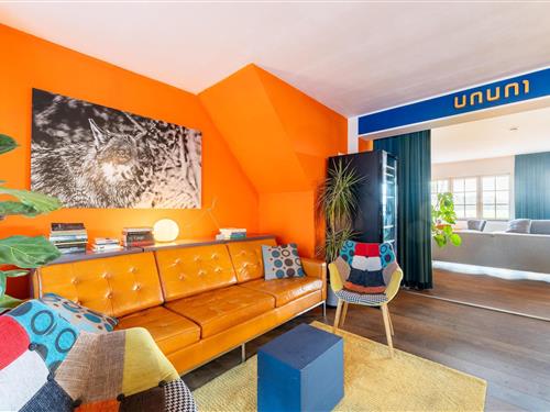 Holiday home - 27 persons -  - 7981LC - Diever