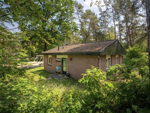 Holiday Home/Apartment - 4 persons -  - Hoge Bergweg - 7361 GS - Beekbergen