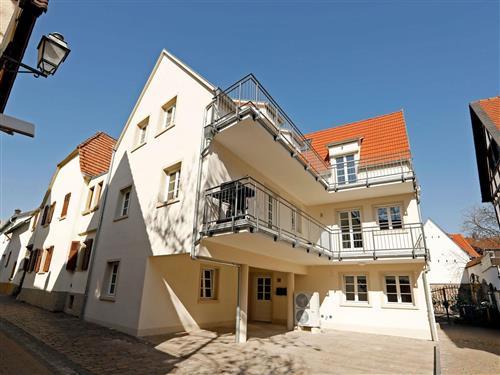 Semesterhus/Semesterlägenhet - 4 personer -  - Korngasse - 67251 - Freinsheim