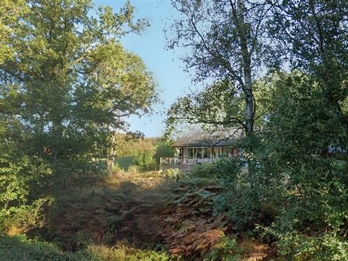 Holiday home - 8 persons -  - Äljalt - Röke/Hässleholm - 282 93 - Röke