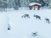 Bild 5 - Ude