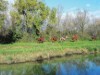 Image 14