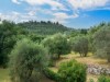 Billede 12