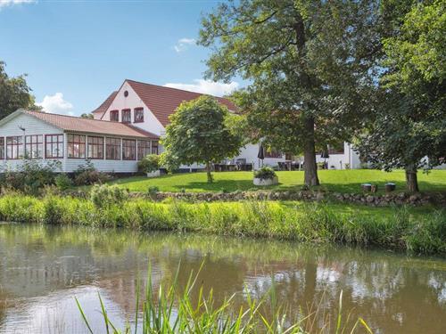 Ferienhaus - 25 Personen -  - Kongeåvej - Foldingbro - 6660 - Lintrup