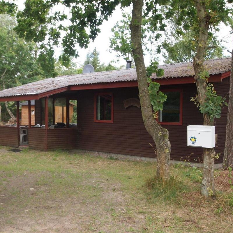 Ferienhaus - 6 Personen -  - Fruerlund Plantage - Öster Hurup - 9560 - Hadsund