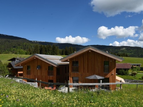 Holiday home - 8 persons -  - 6992 - Hirschegg