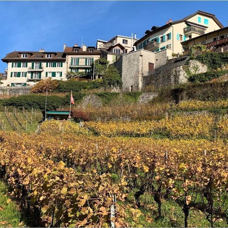 Sommerhus - 6 personer -  - 1816 - Chailly-Montreux