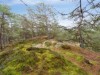 Billede 17 - Grund