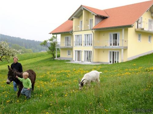 Bondegård - 5 personer -  - Ödhof - 94051 - Hauzenberg