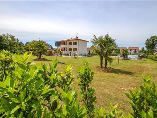 Ferienhaus - 4 Personen -  - Via Sant'Antonino - 52043 - Castiglion Fiorentino