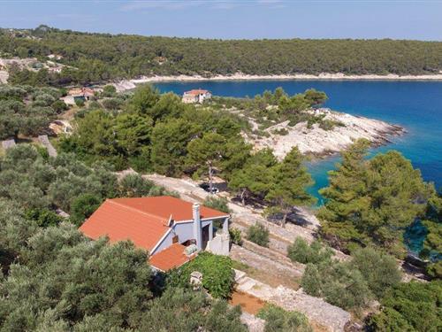 Holiday home - 4 persons -  - Tankaraca bb - Korcula-Tankaraca - 20270 - Tankaraca
