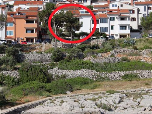 Ferielejlighed - 3 personer -  - Lošinjskih pomoraca - 51550 - Mali Losinj
