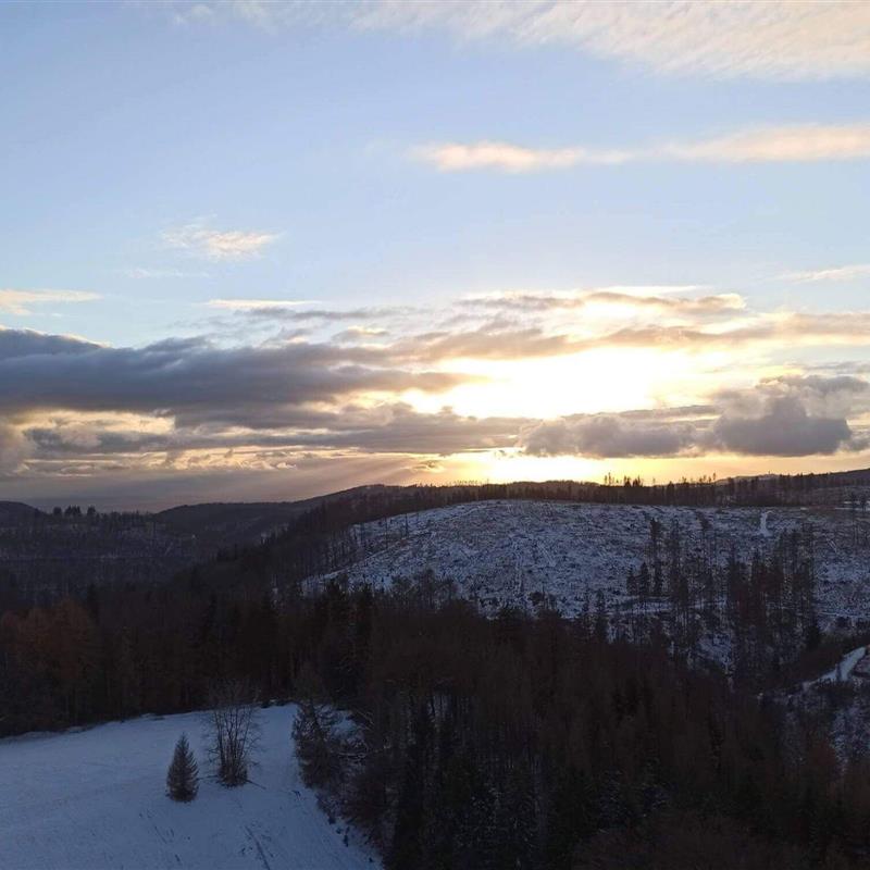 Ferielejlighed - 4 personer -  - Am Kurpark - 38700 - Braunlage / Hohegeiß