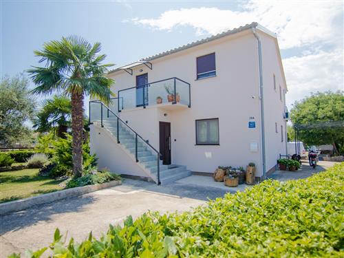 Holiday apartment - 4 persons -  - Milovcici - 51511 - Malinska