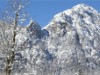 Bild 22