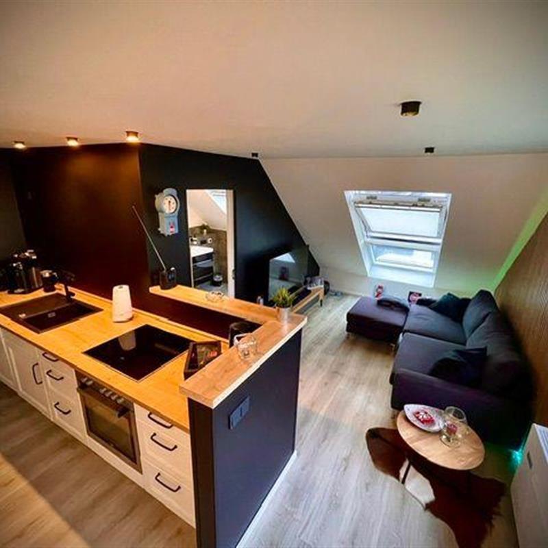 Ferielejlighed - 4 personer -  - Fasaneneck - 23743 - Grömitz