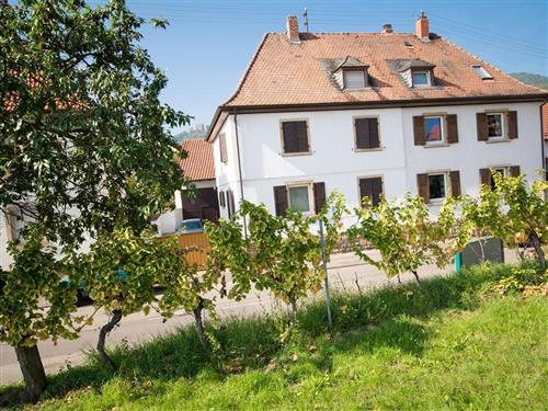 Ferieleilighet - 4 personer -  - Weinstraße - 67434 - Neustadt An Der Weinstraß