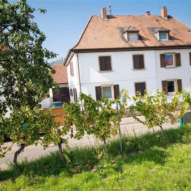 Ferielejlighed - 4 personer -  - Weinstraße - 67434 - Neustadt An Der Weinstraß