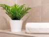 Bild 30