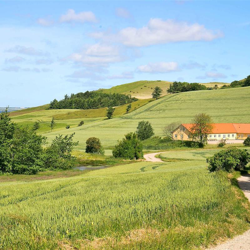 Ferienhaus - 35 Personen -  - Trolddalen - 7900 - Nyköbing Mors
