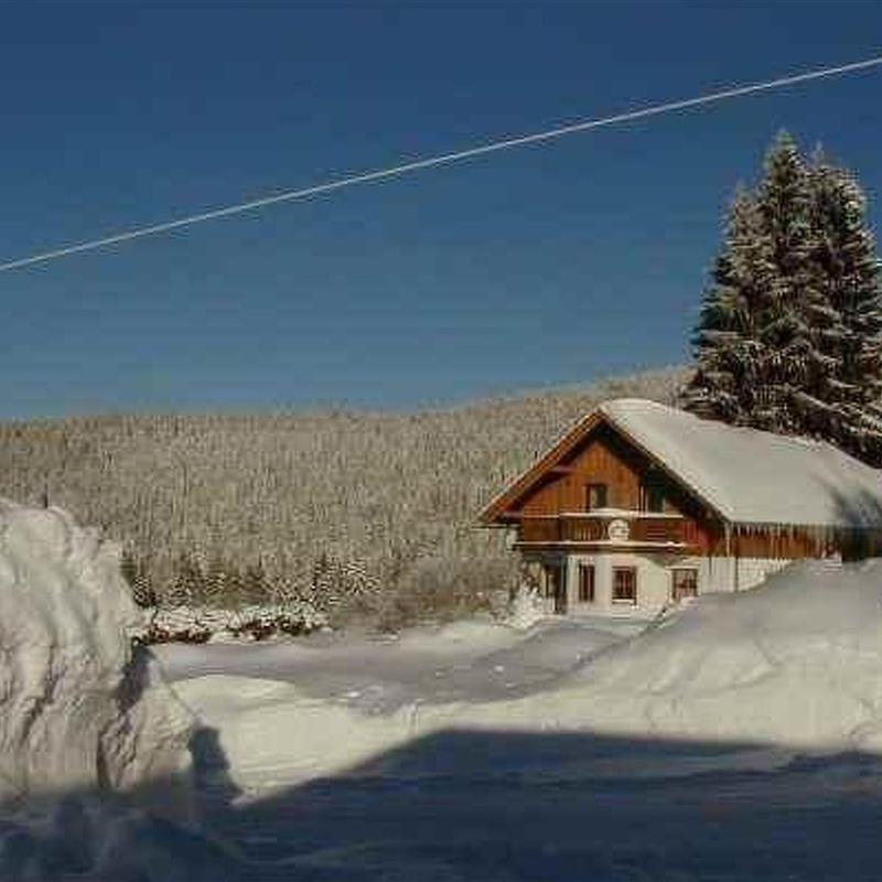 Sommerhus - 12 personer -  - Neureichenau - 94089