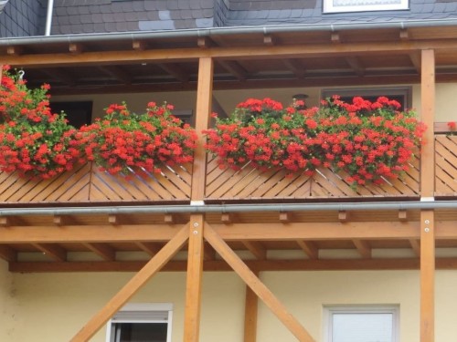 Sommerhus - 5 personer -  - 54470 - Graach