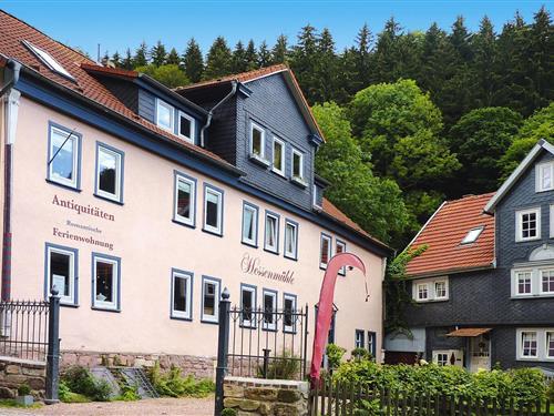 Sommerhus - 4 personer -  - 99894 - Friedrichroda