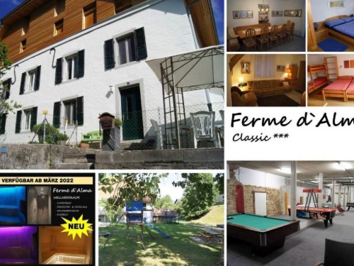 Holiday apartment - 13 persons -  - 2888 - Seleute