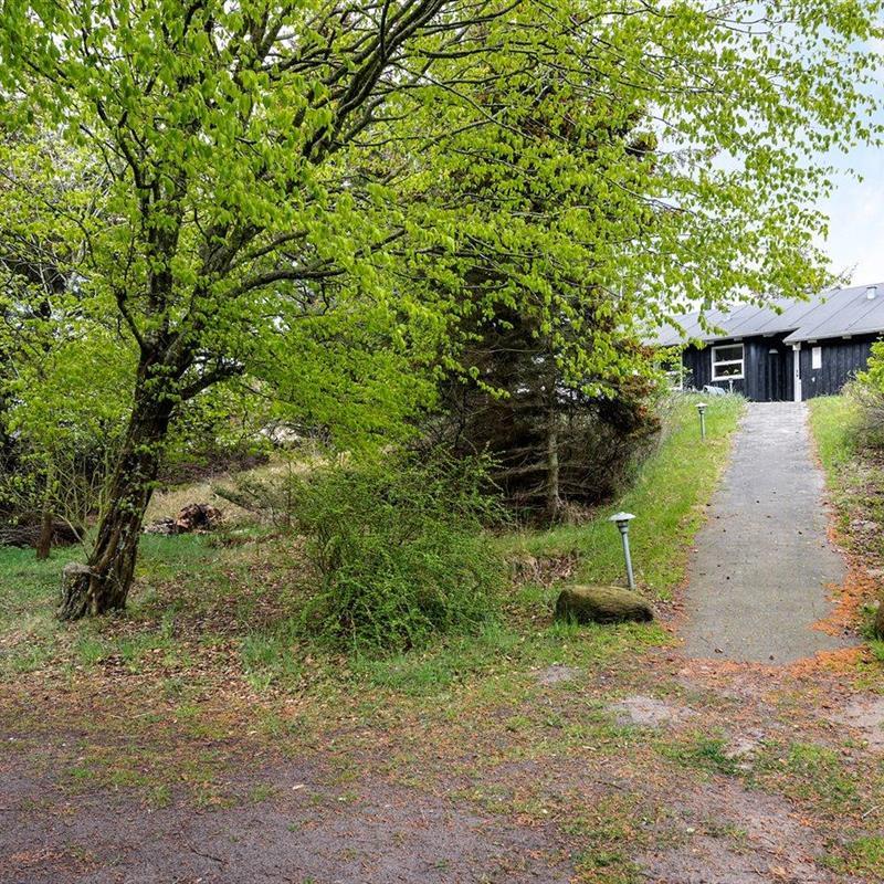 Ferienhaus - 6 Personen -  - Sandvejen - 9492 - Blokhus