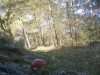 Billede 22
