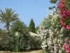 Image 21 - Outside