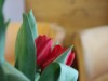 Bild 16 - Ude