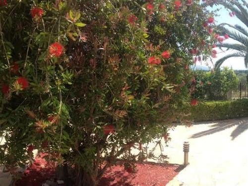 Ferieleilighet - 2 personer -  - Eretria Evia - 34008