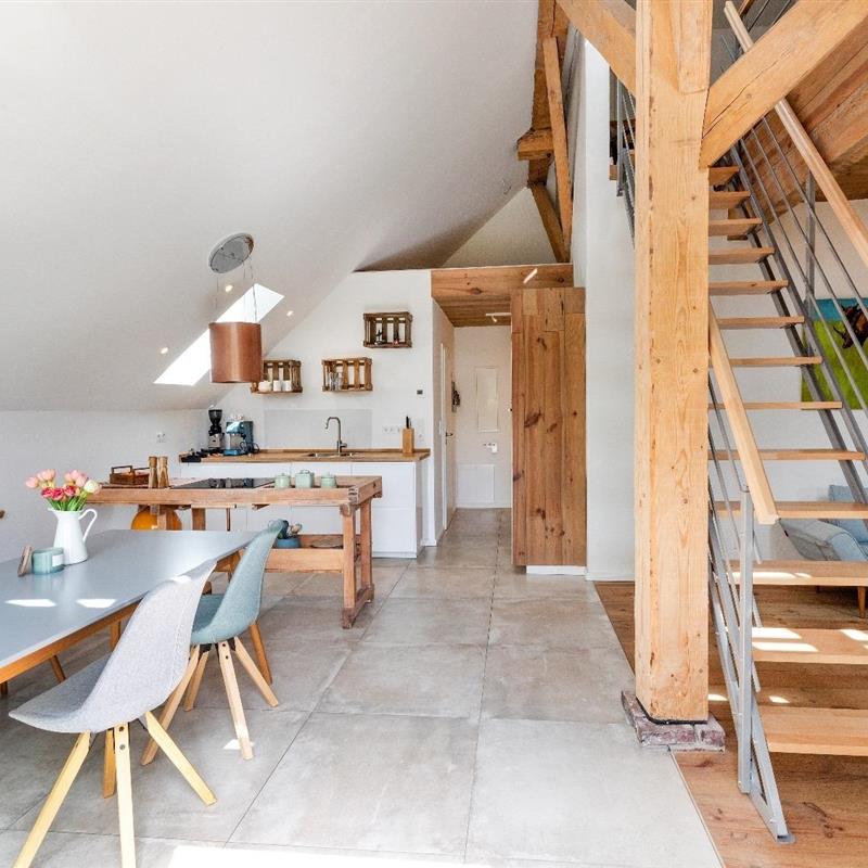 Ferielejlighed - 2 personer -  - Wolder Weg - 26427 - Esens