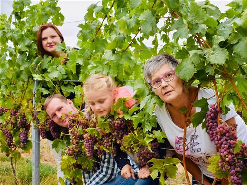 Ferielejlighed - 3 personer -  - Eberbacher Str. - 65375 - Oestrich-Winkel