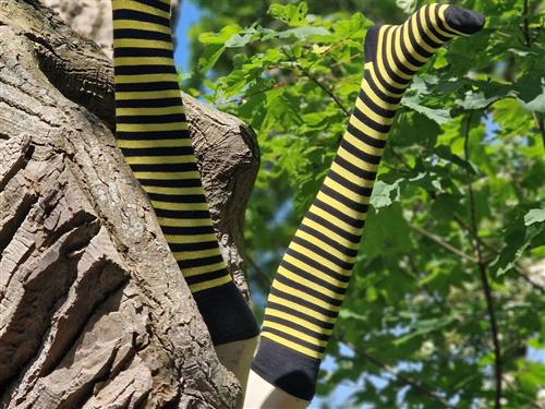 Holiday apartment - 2 persons -  - Auf der Gast - 26316 - Varel / Dangast