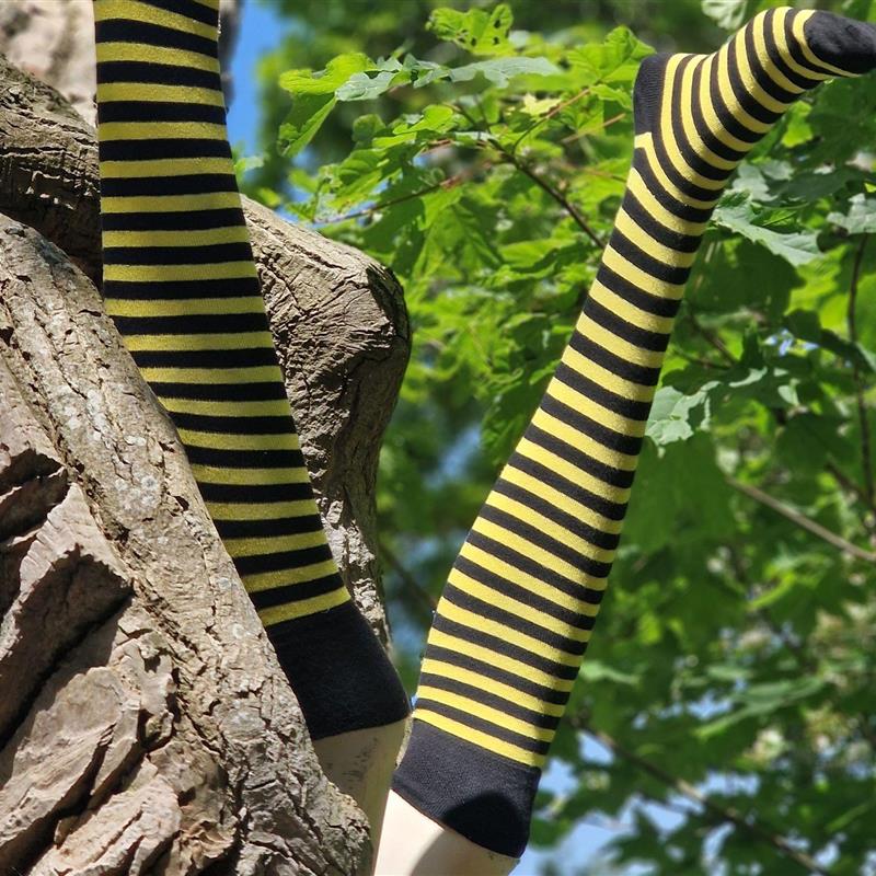 Ferielejlighed - 2 personer -  - Auf der Gast - 26316 - Varel / Dangast