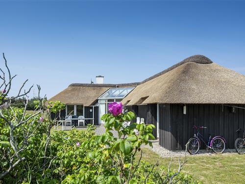 Ferienhaus - 8 Personen -  - Fugltoft - Vejers Nordøst - 6853 - Vejers Strand