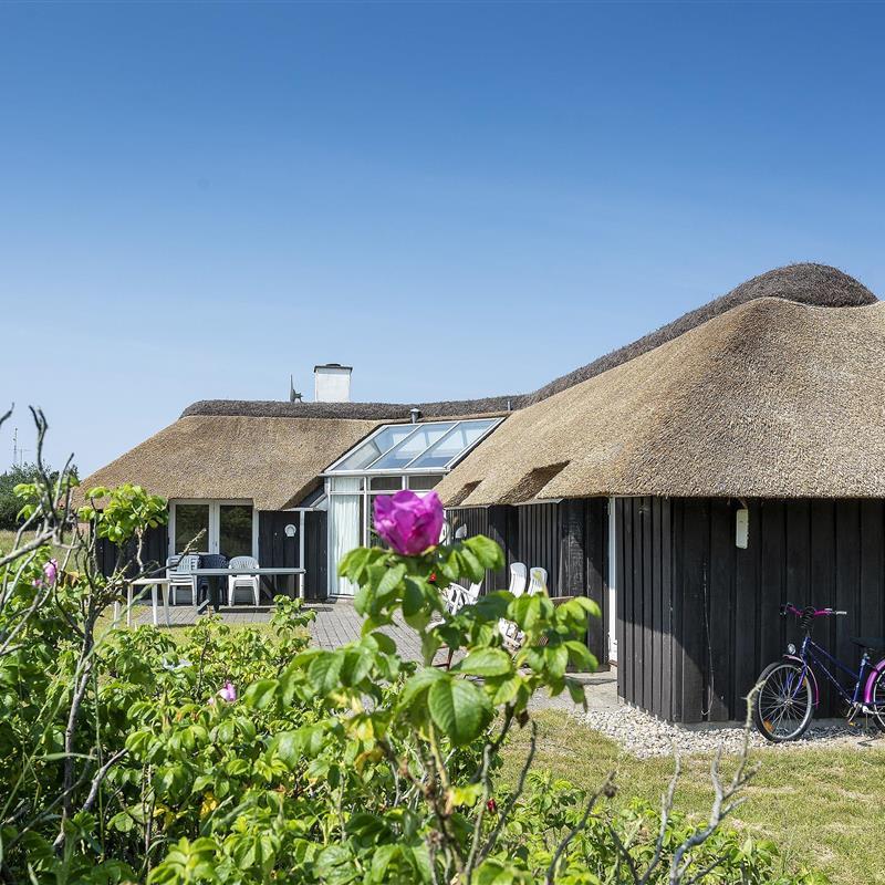 Sommerhus - 8 personer -  - Fugltoft - Vejers Nordøst - 6853 - Vejers Strand