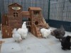 Bild 24