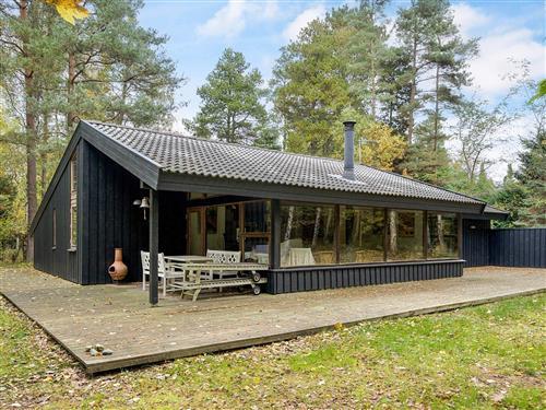 Ferienhaus - 6 Personen -  - Skovskellet - Ordrup - 4540 - Faarevejle