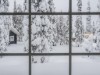 Bild 20 - Inde