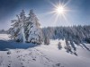 Bild 23