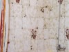 Bild 17