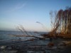 Bild 30 - Ude