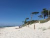 Bild 19
