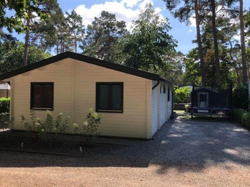 Feriehus / leilighet - 6 personer -  - 5731 XN - Mierlo