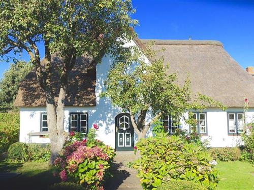Sommerhus - 4 personer -  - Westerham - 25938 - Midlum